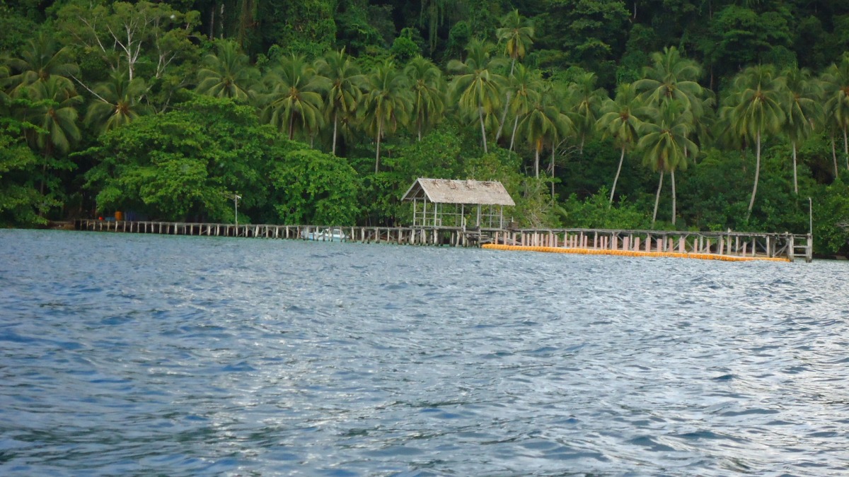 Waiwo Dock Picture From The Long Boat