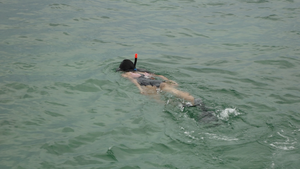 Snorkeling experience in Berhala Strait