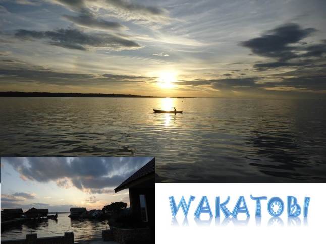 Wakatobi View - Behind of Hotel Wisata