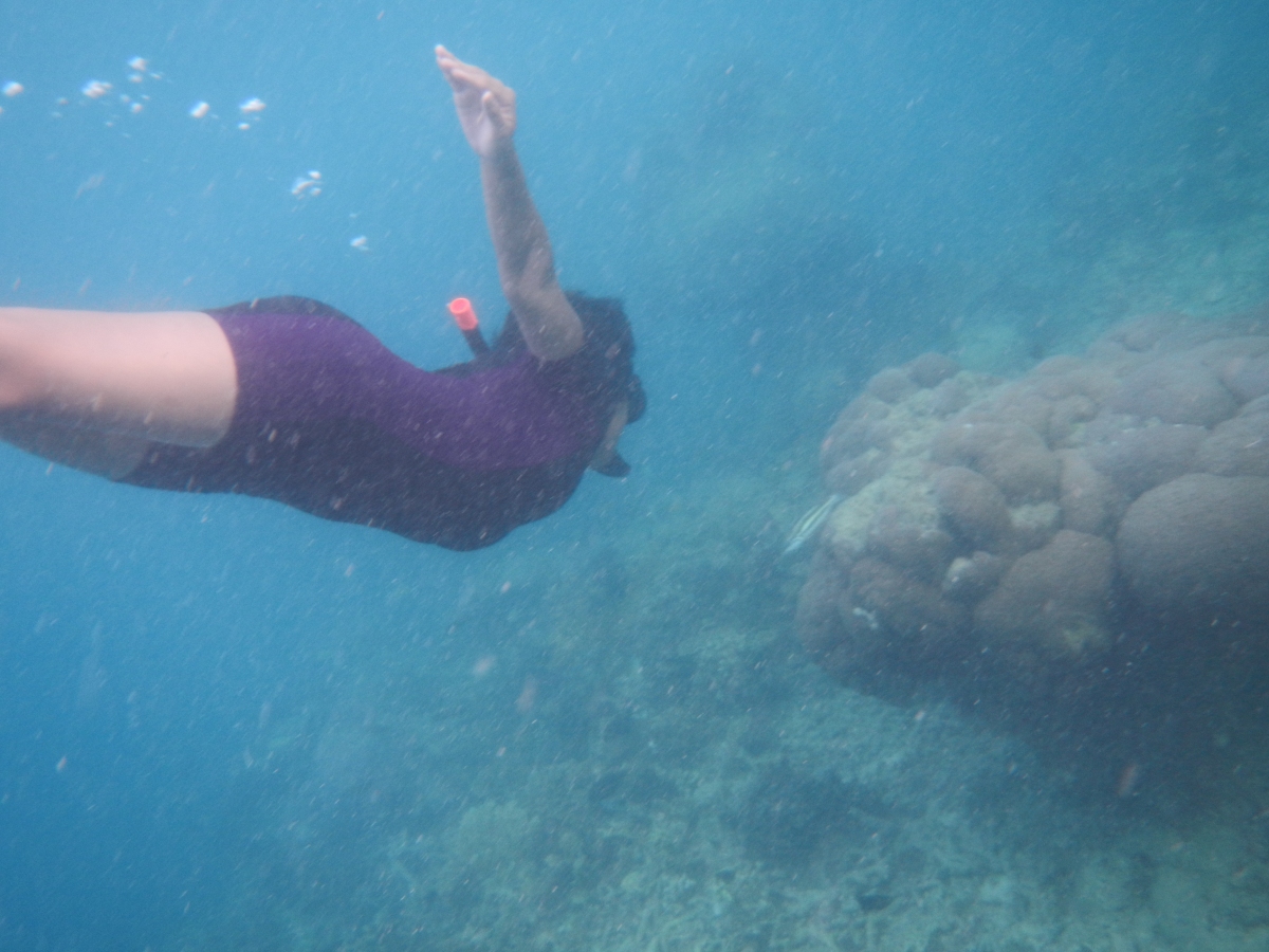 Hehe,, I can get a pic of me freediving!!